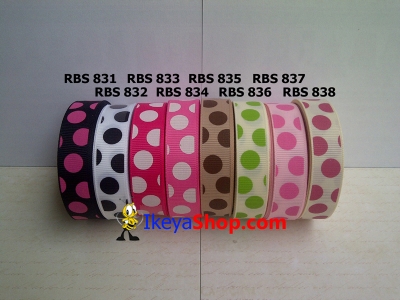 Pita RBS 831 838  large2